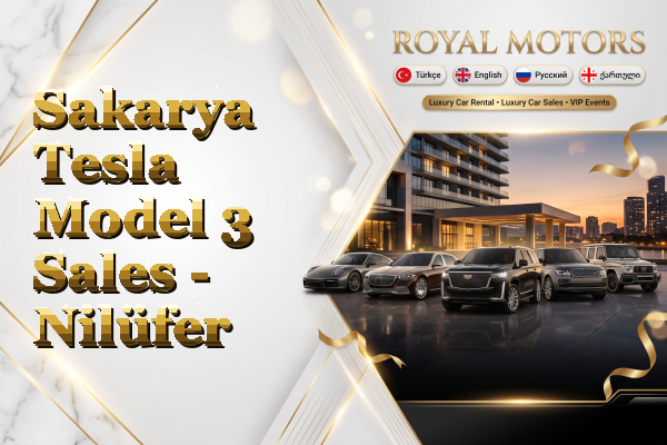 Sakarya Tesla Model 3 Sales - Nilüfer