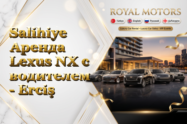 Salihiye Аренда Lexus NX с водителем - Erciş