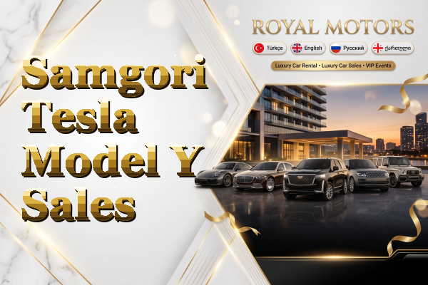 Samgori Tesla Model Y Sales