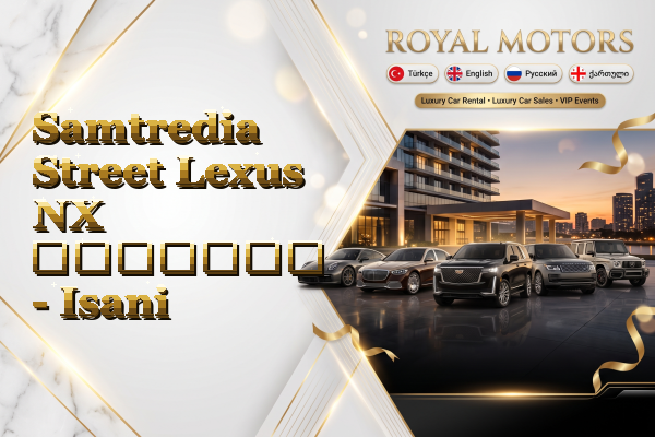 Samtredia Street Lexus NX გაყიდვა - Isani