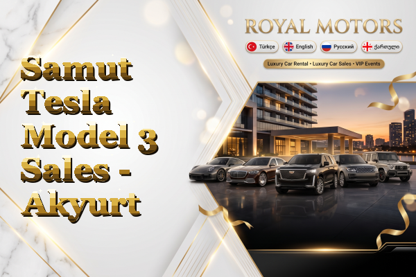 Samut Tesla Model 3 Sales - Akyurt
