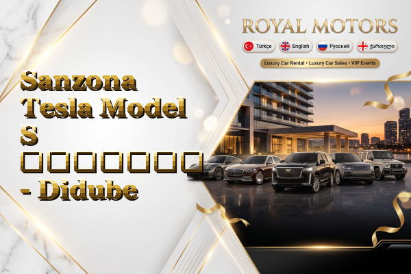 Sanzona Tesla Model S გაყიდვა - Didube