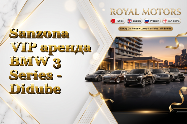 Sanzona VIP аренда BMW 3 Series - Didube
