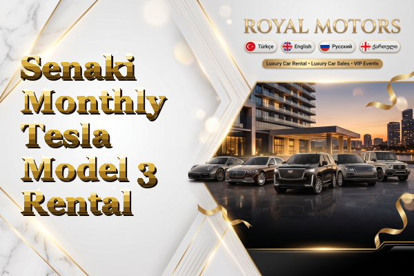 Senaki Monthly Tesla Model 3 Rental