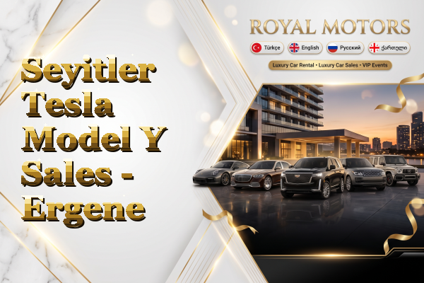 Seyitler Tesla Model Y Sales - Ergene