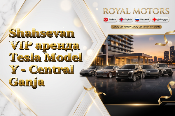 Shahsevan VIP аренда Tesla Model Y - Central Ganja