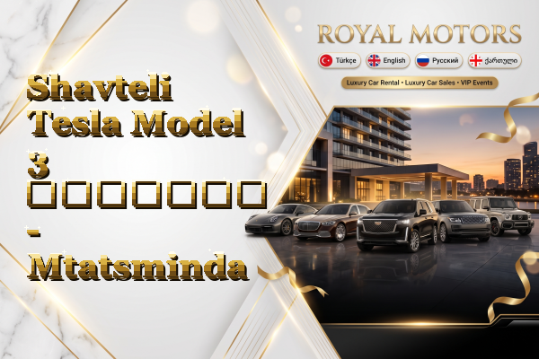 Shavteli Tesla Model 3 გაყიდვა - Mtatsminda