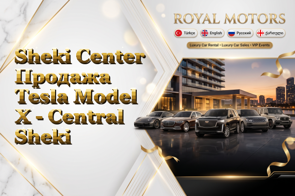 Sheki Center Продажа Tesla Model X - Central Sheki