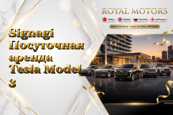 Signagi Посуточная аренда Tesla Model 3