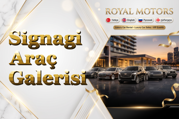 Signagi Araç Galerisi