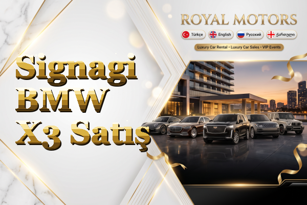 Signagi BMW X3 Satış