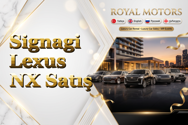 Signagi Lexus NX Satış