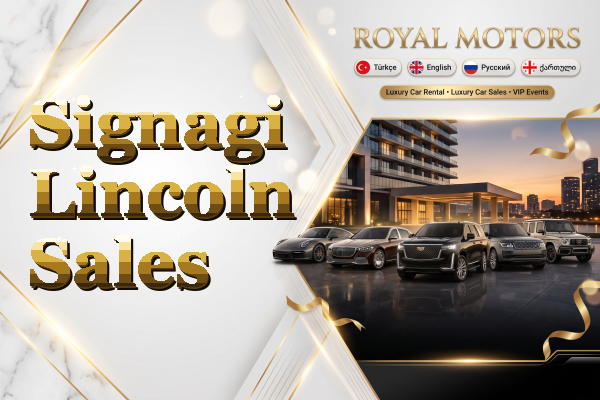 Signagi Lincoln Sales
