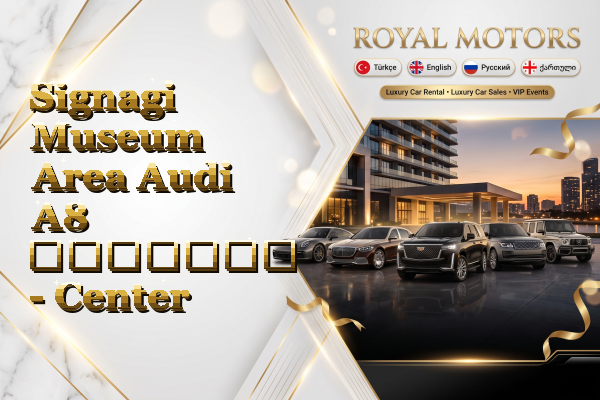 Signagi Museum Area Audi A8 გაყიდვა - Center