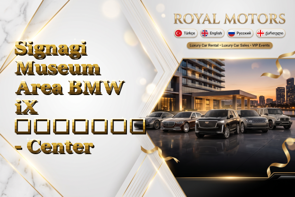 Signagi Museum Area BMW iX გაყიდვა - Center
