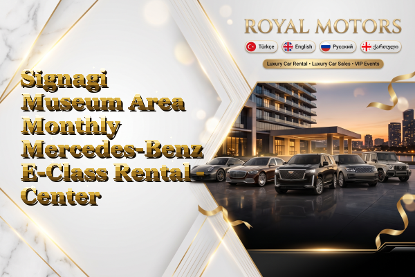 Signagi Museum Area Monthly Mercedes-Benz E-Class Rental - Center