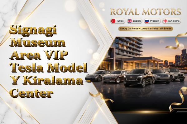 Signagi Museum Area VIP Tesla Model Y Kiralama - Center