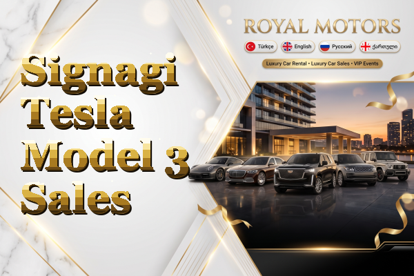 Signagi Tesla Model 3 Sales