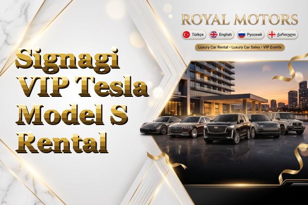 Signagi VIP Tesla Model S Rental