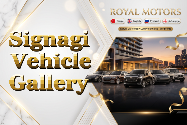 Signagi Vehicle Gallery