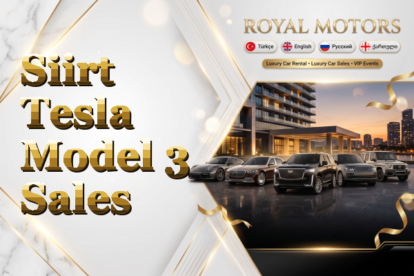 Siirt Tesla Model 3 Sales