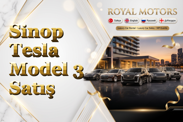 Sinop Tesla Model 3 Satış