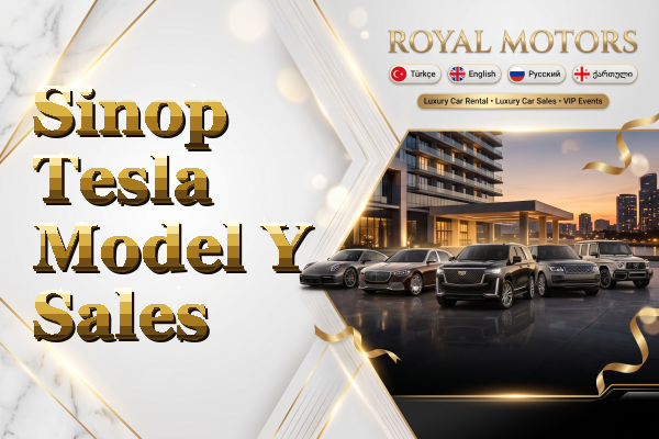 Sinop Tesla Model Y Sales