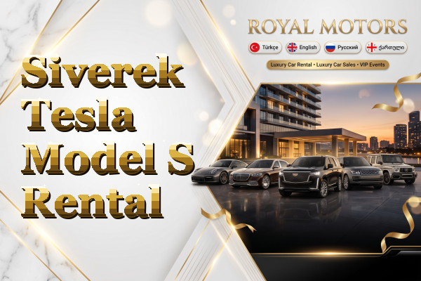Siverek Tesla Model S Rental