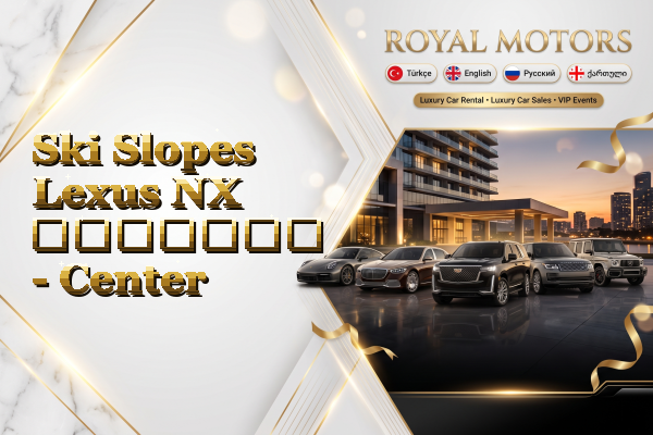 Ski Slopes Lexus NX გაყიდვა - Center