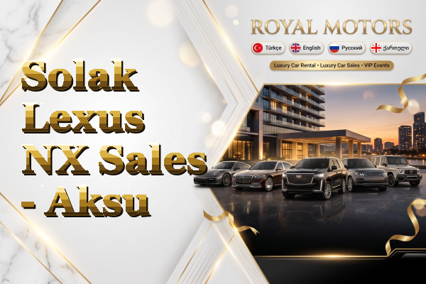 Solak Lexus NX Sales - Aksu