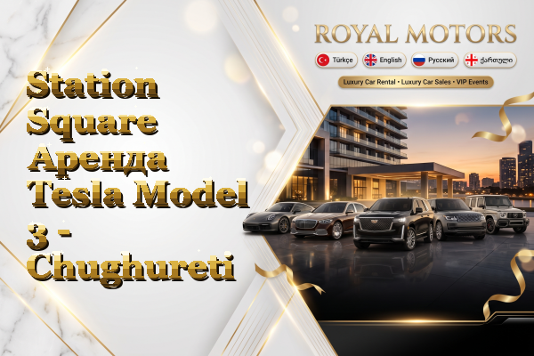 Station Square Аренда Tesla Model 3 - Chughureti