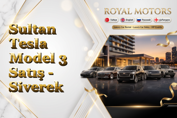 Sultan Tesla Model 3 Satış - Siverek