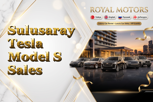 Sulusaray Tesla Model S Sales