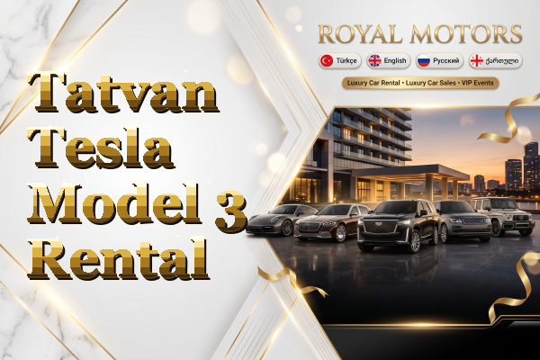 Tatvan Tesla Model 3 Rental
