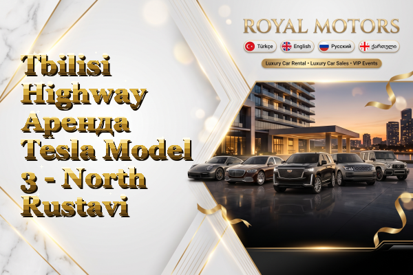 Tbilisi Highway Аренда Tesla Model 3 - North Rustavi