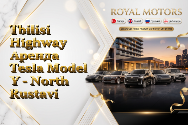 Tbilisi Highway Аренда Tesla Model Y - North Rustavi