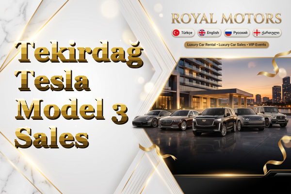 Tekirdağ Tesla Model 3 Sales