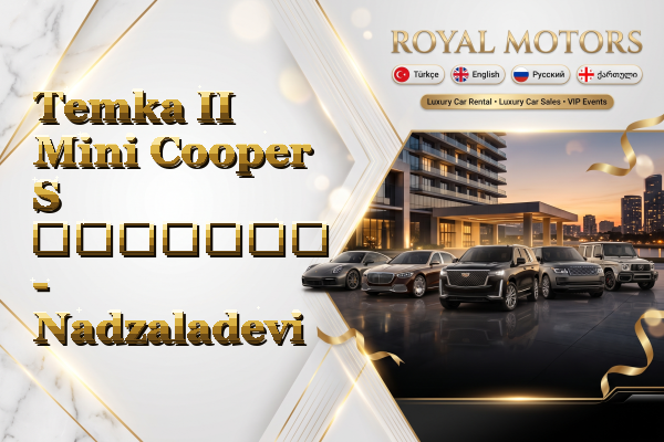 Temka II Mini Cooper S გაყიდვა - Nadzaladevi