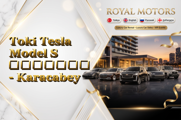Toki Tesla Model S გაყიდვა - Karacabey