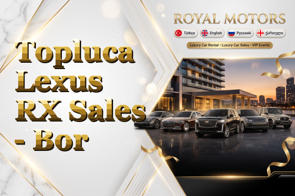Topluca Lexus RX Sales - Bor