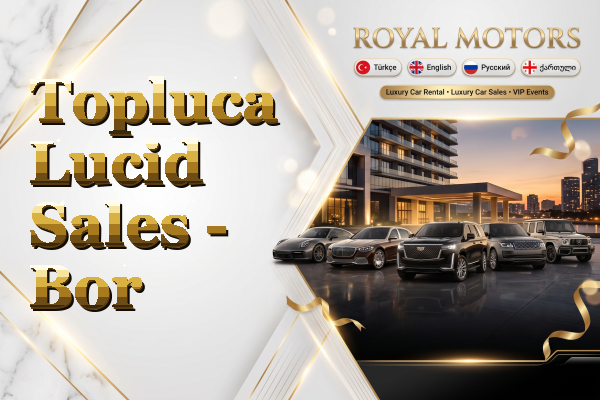 Topluca Lucid Sales - Bor
