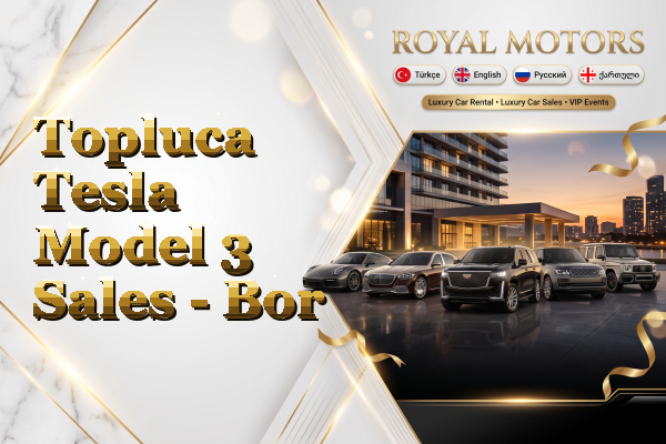 Topluca Tesla Model 3 Sales - Bor