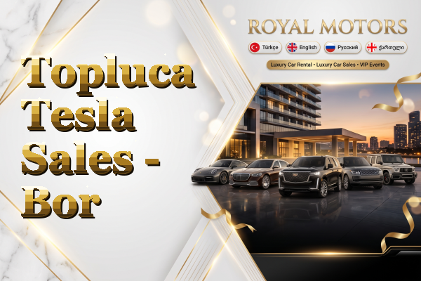 Topluca Tesla Sales - Bor