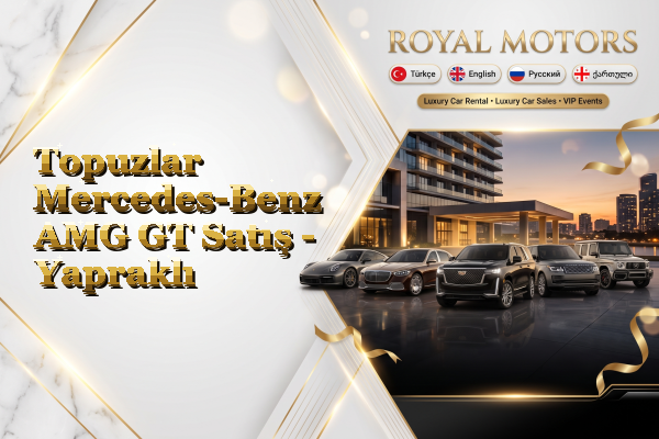 Topuzlar Mercedes-Benz AMG GT Satış - Yapraklı