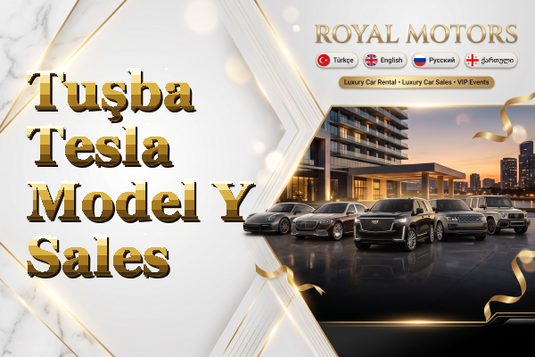 Tuşba Tesla Model Y Sales
