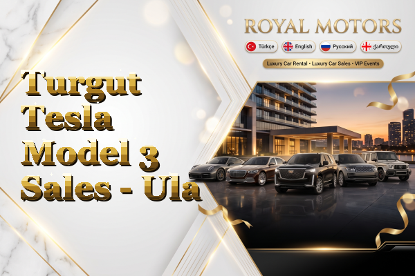 Turgut Tesla Model 3 Sales - Ula