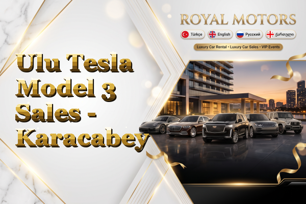 Ulu Tesla Model 3 Sales - Karacabey