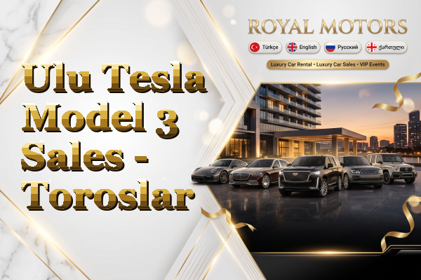 Ulu Tesla Model 3 Sales - Toroslar