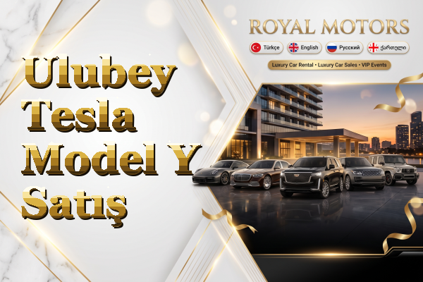 Ulubey Tesla Model Y Satış