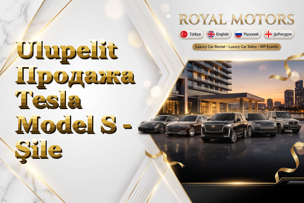 Ulupelit Продажа Tesla Model S - Şile